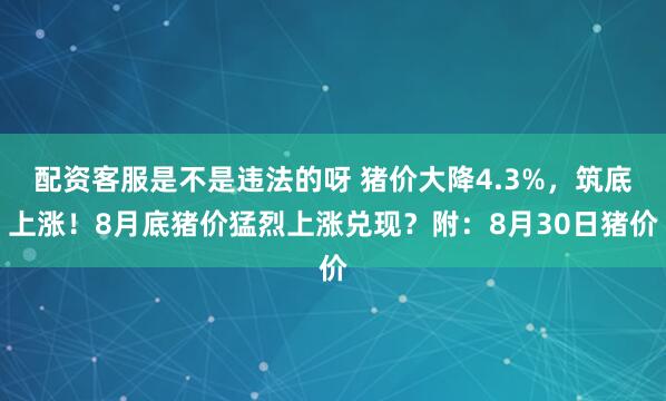 配资客服是不是违法的呀 猪价大降4.3%，筑底上涨！8月底猪价猛烈上涨兑现？附：8月30日猪价