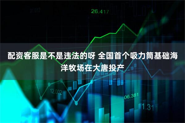 配资客服是不是违法的呀 全国首个吸力筒基础海洋牧场在大唐投产