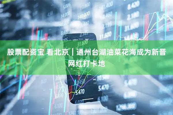 股票配资宝 看北京｜通州台湖油菜花海成为新晋网红打卡地
